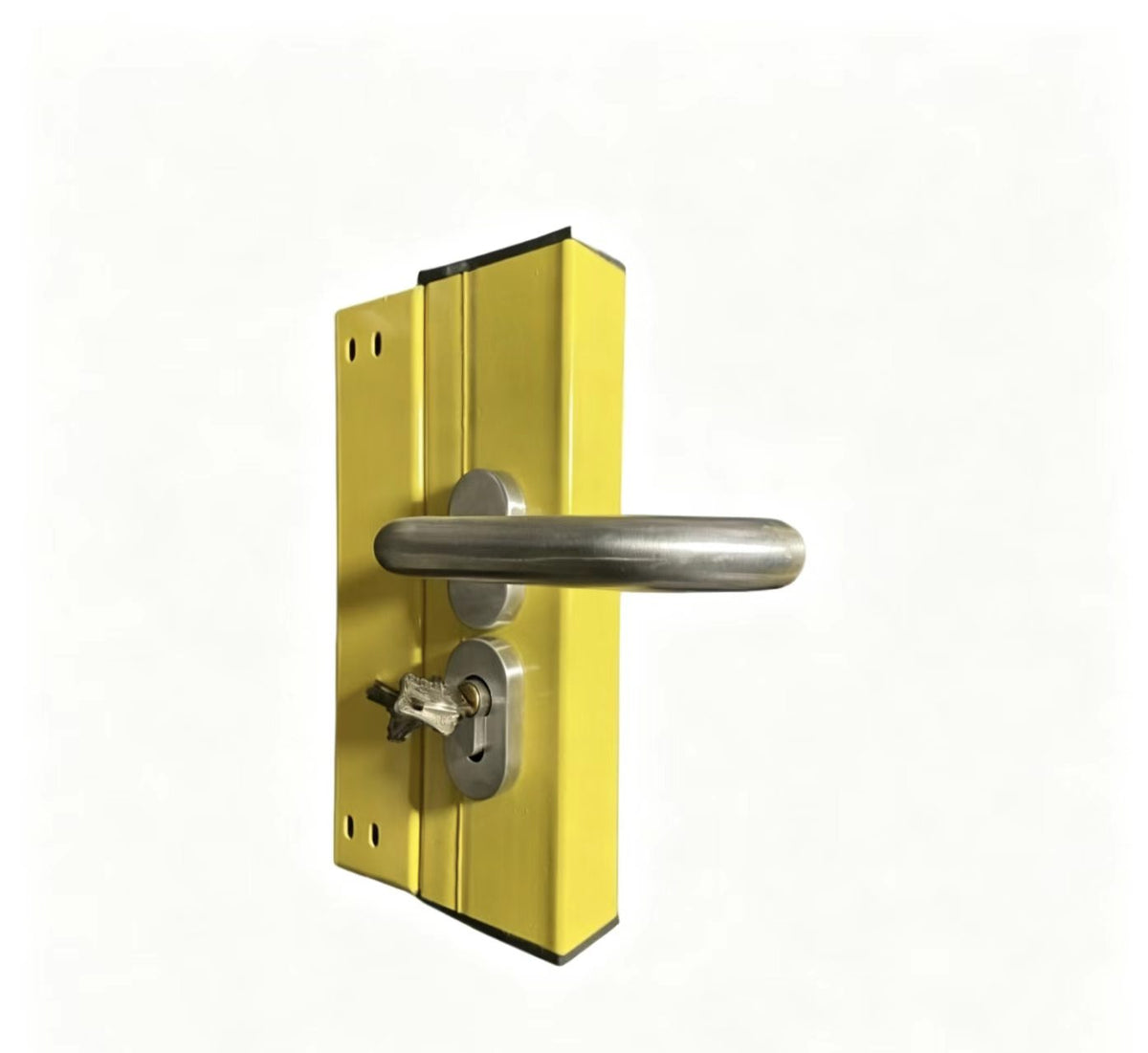 Door Lock Type 4 | 锁具类型四